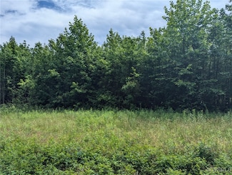 TBD James River Dr, Prince George, VA 23842