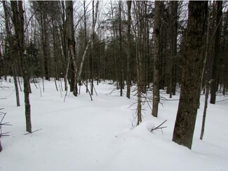 TBD Elmore Pond Rd, Wolcott, VT 05680