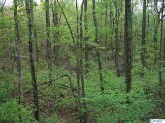 77 Pace Dr, Hytop, AL 35768