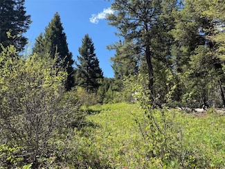 Nhn Camus Springs Rd, Potomac, MT 59823