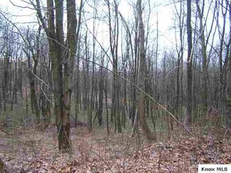9999 Township Road 338, Warsaw, OH 43844