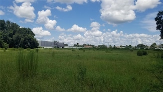 4137 New River Rd, Wesley Chapel, FL 33543