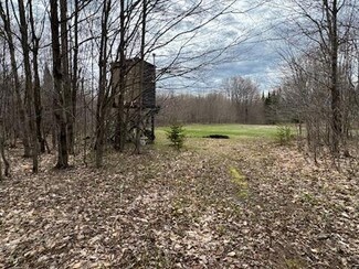 00 Tee Lake Rd, Germfask, MI 49836