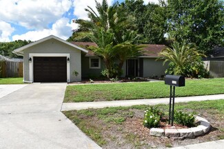 14305 Capitol Dr, Tampa, FL 33613