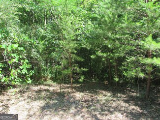 0 Flat Branch Rd Unit D 10546633, Ellijay, GA 30540