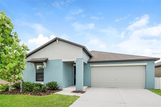 14130 Covert Green Place, Riverview, FL 33579