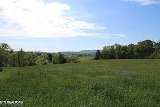 0 N York Hwy Unit 1299062, Pall Mall, TN