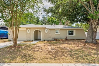 2207 Valleybrook Ave, Valrico, FL 33594