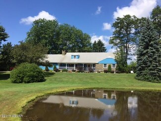 10001 Route 414, Roaring Branch, PA 17765