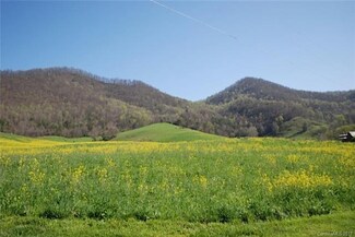 73 Williams Branch Rd, Barnardsville, NC 28709