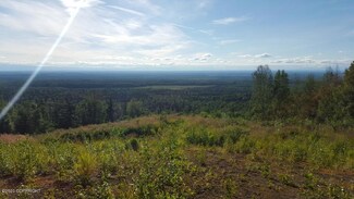 15579 W Willa's Way, Willow, AK 99688