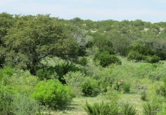 0000-4 N Julian Rd, Roma, TX 78584