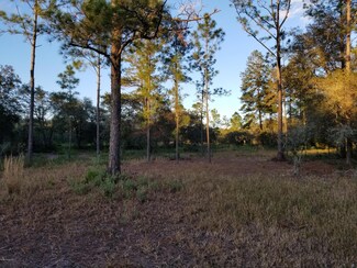 5519 Painted Pony Ave, Keystone Heights, FL 32656