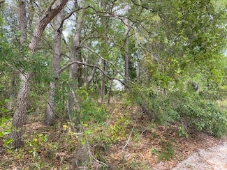 0 NE 67th St Unit MFRGC530176, Bronson, FL 32621