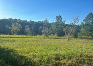 3063 Fox Chase Rd, Prairie Point, MS 39341