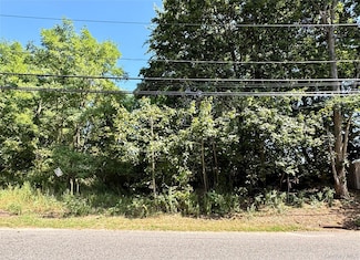 #189,#191 Mount Vernon Ave, Medford, NY 11763