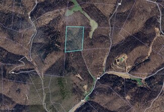 1203 Slab Fork Rd, Grantsville, WV 26147