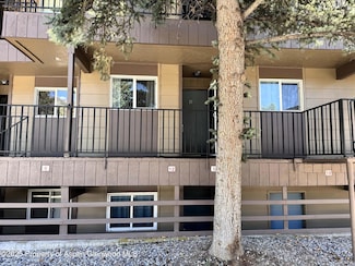 51519 Highway 6 Unit 11, Glenwood Springs, CO 81601