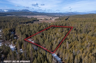 4151 Jepsen Rd, Springdale, WA 99173