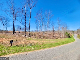 194 Lecroy Dr Unit 194, Ellijay, GA 30540