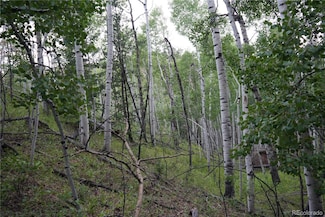 144 Goldfield Ct, Cripple Creek, CO 80813