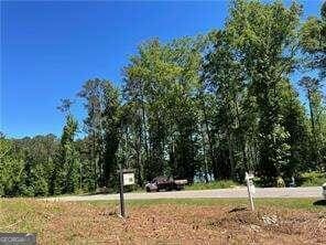 1111 Dockside Dr, Buckhead, GA 30625