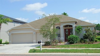 16515 Nikki Ln, Odessa, FL 33556
