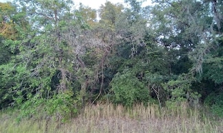 0 Horned Owl Unit MFROM680274, Weeki Wachee, FL 34614