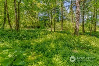 0 Warren Rd Unit 4 NWM2269692, North Bonneville, WA 98639