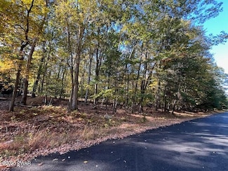 Lot 332 Racoon Rd, Delaware Township, PA 18328