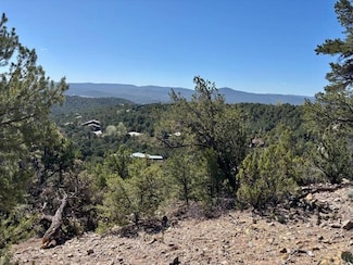 0 Los Amigos Ct, Cedar Crest, NM 87008