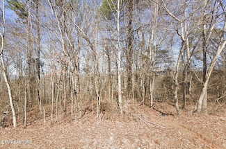 113 Chanusi Way, Loudon, TN 37774