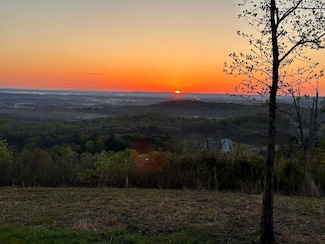 47.7 County Road 200, Danville, AL 35619