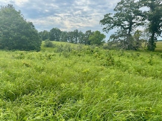 S Sd Spring Creek Rd, Camden, IL 62319