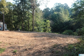 175 Glaze Creek Rd Unit 21, Bessemer, AL 35023