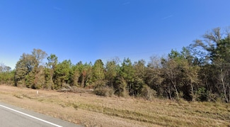 0 Pine St Unit 22509530, Jesup, GA 31545