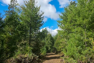 Lot 1 E Shore Rd, Barnes, WI 54873