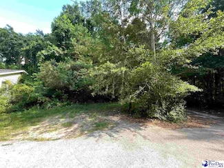 102 2nd Ave, Bennettsville, SC 29512