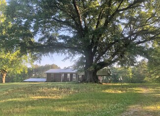 824 Mulberry Fork Dr, Hayden, AL 35079