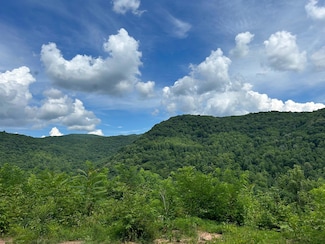 0 Kenney Mt Rd Unit 24-908, Sandstone, WV 25976