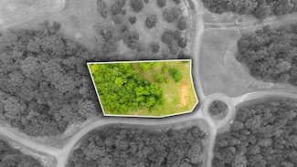 415 Rivermyst Dr, Spring City, TN 37381