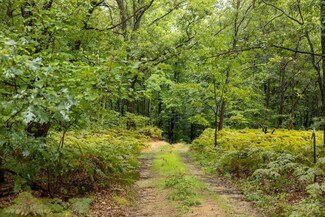 00 V/L S Wolf Lake Rd, Fruitport, MI 49415