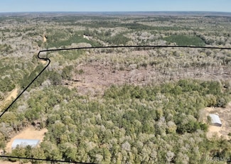 2326 Campbell Hill Rd, Chancellor, AL 36316