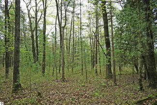 0 Schill Rd, East Tawas, MI 48730