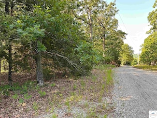 lots 38 & 39 Sassafras Dr Unit 1.25 acres, Saddlebr, Fristoe Township, MO 65355