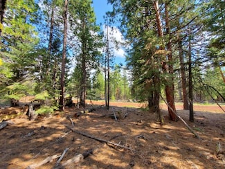 0 Sundown Rd, Alturas, CA 96101