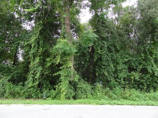 0 Pine Dr Unit MFRG5068938, Lake MacK-forest Hills, FL 32720