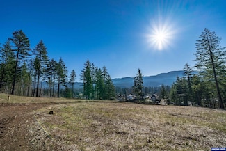 13594 Hudel Rd SE, Mill City, OR 97360