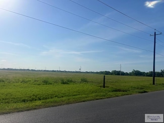 5 acres Wilcox Rd Unit PT BLK 42, Primera, TX 78552