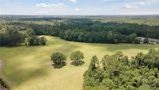 35+ ACRES Wells Rd, Hinesville, GA 31313
